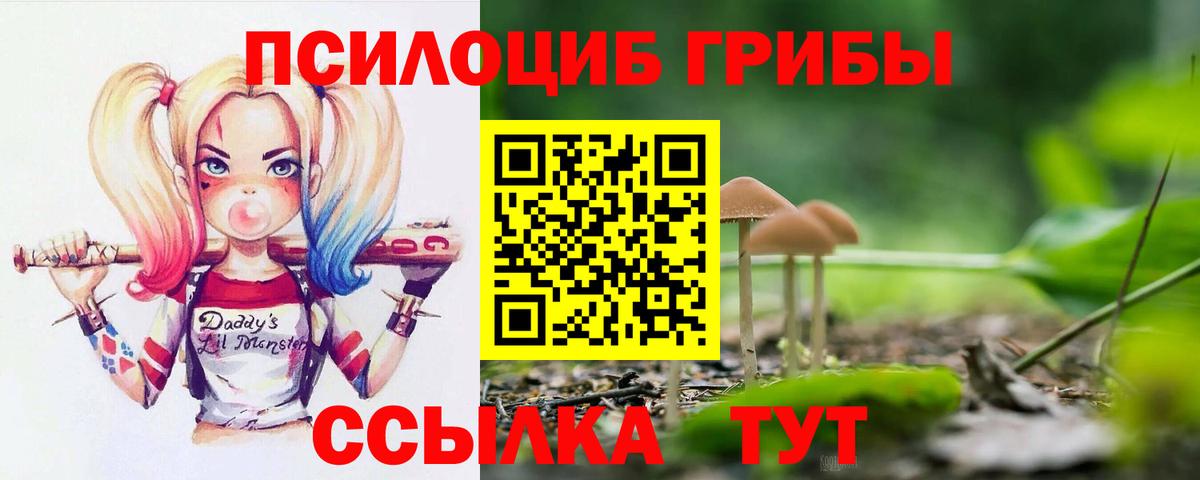 Галлюциногенные грибы Psilocybe Энгельс
