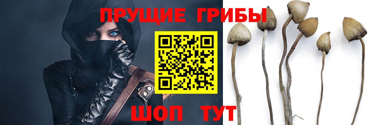 Галлюциногенные грибы Magic Shrooms  Галлюциногенные грибы Magic Shrooms  Вход с VPN  Энгельс 